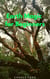 Earth Magic for Beginners