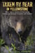 Taken by Bear in Yellowstone - A Century of Harrowing Encounters between Grizzlies and Humans
