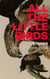 All the Little Birds