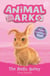 The Magic Bunny - Special 4