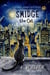 A Starry Night Out with Smidge the Cat
