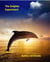 The Dolphin Experiment - Enhanced 1