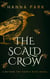 The Scald Crow - Beyond the Faerie Rath, #1