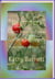 "Beginners" How to Grow Garden Tomatoes - : From the Dirt Up Series, #3