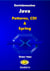Derinlemesine Java - Patterns, CDI ve Spring
