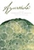 Ayurveda - A Holistic Approach to Health
