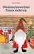 Weihnachtswichtel Tomte zieht ein - Gemeinsam durch die Adventszeit