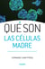Qué son las células madre