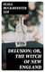 Delusion; or, The Witch of New England