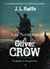 Las aventuras de Oliver Crow 3