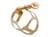CC HS - LIGATURE TRADITION VERNIE OR - TENOR
