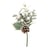 BRANCHE EUCALYPTUS HOUX PIN BAIES