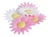 Lot de 18 marguerites azyme ScrapCooking® - Couleurs assorties - 28 g