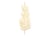 3 feuilles de palmier en bois brut - 13 cm
