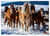 Puzzle 1000 Pièces - Chevaux dans la neige