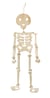 Squelette géant articulé - Bois - 80 cm - Créalia Enfant