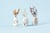 Coffret 3 vases en céramique à décorer - Créalia