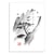 Affiche 50 x 70 cm - Cliff