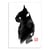 Affiche 30 x 40 cm - Black Cat