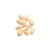10 Coquillages naturels avec 2 perforations 