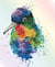 Kit Diamond painting - Diamond Dotz - Oiseau arc en ciel