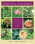 Perennial Vegetables - From Artichokes to Zuiki Taro, A Gardener's Guide to Over 100 Delicious and Easy to Grow Edibles