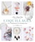 Coquillages - DIY, flâneries et inspiration