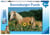 Mon Cheval - Puzzle de 200 Pièces