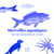 Merveilles aquatiques - L'art de représenter le vivant