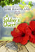 A Soldier's Quest - The Luchettis, #5