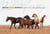 Among Wild Horses - A Portrait of the Pryor Mountain Mustangs