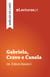 Gabriela, Cravo e Canela — Jorge Amado (análise de livro)