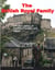 The British Royal Family: A Modern History of Tradition, Scandals and Legacy - History, #2