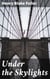 Under the Skylights - Exploring Social Classes and Urban Life in Late 19th Century Chicago