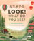 Look! What Do You See? - An Art Puzzle Book of American and Chinese Songs