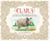 Clara - The (Mostly) True Story of the Rhinoceros who Dazzled Kings, Inspired Artists, and Won the Hearts of Everyone...While She Ate Her Way Up and Down a Continent