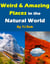 Weird and Amazing Places in the Natural World - Wonders of the World