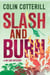 Slash and Burn - A Dr Siri Murder Mystery