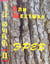 ??? ??????? "????", ??? - II (EREV, Vol. - II) ??????? ? ????? - ????? ???. From Yiddish - Alma Shin.