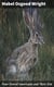 Four-Footed Americans and Their Kin
