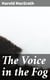 The Voice in the Fog