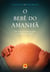 O bebê do amanhã - Um novo paradigma para a criação dos filhos