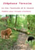 Le lion l'autruche et le renard - Théâtre pour troupes d’enfants