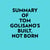 Summary of Tom Golisano's Built, Not Born