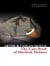 The case-book of Sherlock Holmes