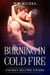 Enemies Become Lovers - Burning in Cold Fire, #1