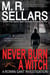 Never Burn A Witch: A Rowan Gant Investigation - The Rowan Gant Investigations, #2