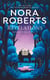 Songes d'Irlande (Tome 1) - Révélations