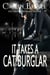 It Takes a Cat Burglar - A Thief in Love Suspense Romance, #1