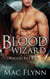 Blood Wizard: Dragon Key Book 2 (Dragon Shifter Romance) - Dragon Key, #2